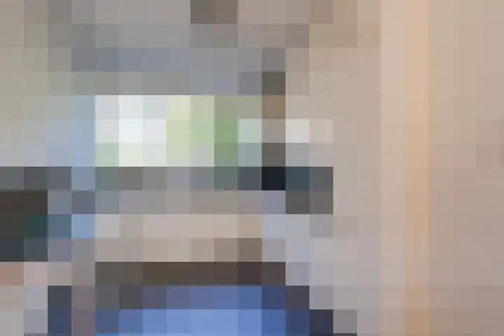 Vogezen 8 Utrecht thumbnail 8