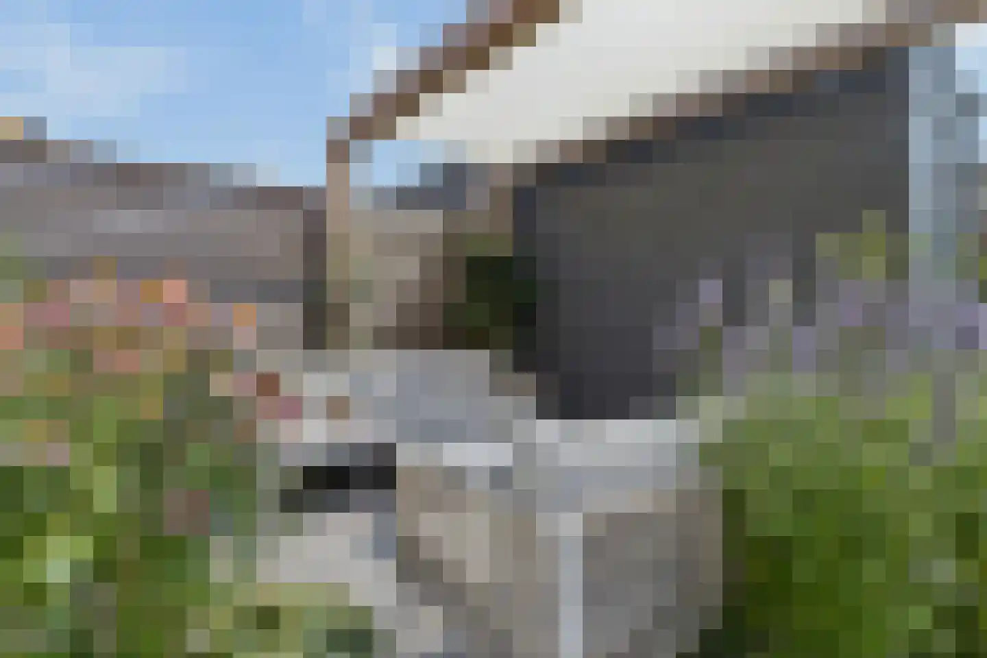 Vogezen 9 Amersfoort thumbnail 35
