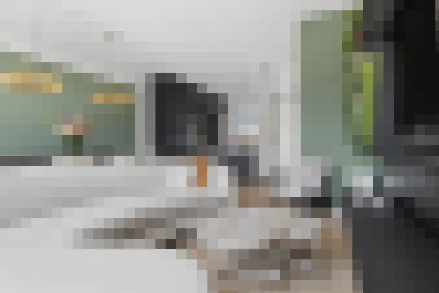 Vogezen 9 Amersfoort thumbnail 5