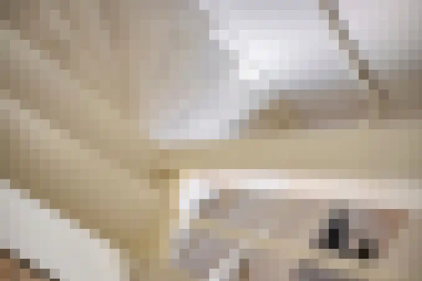Vogezenlaan 199 Tilburg thumbnail 18