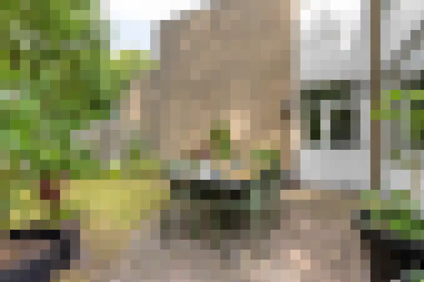 Vogezenlaan 199 Tilburg thumbnail 34