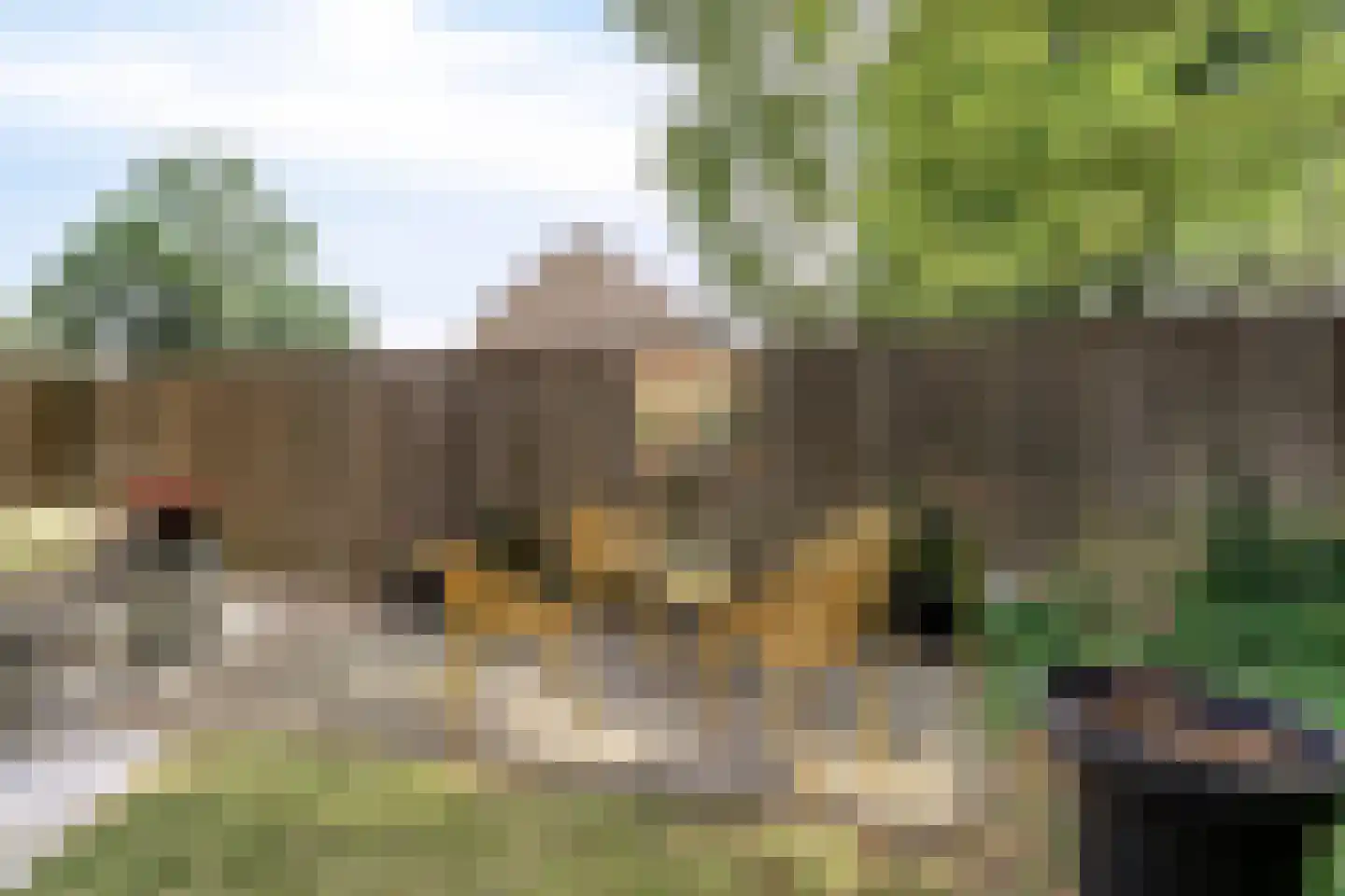 Vogezenlaan 199 Tilburg thumbnail 39