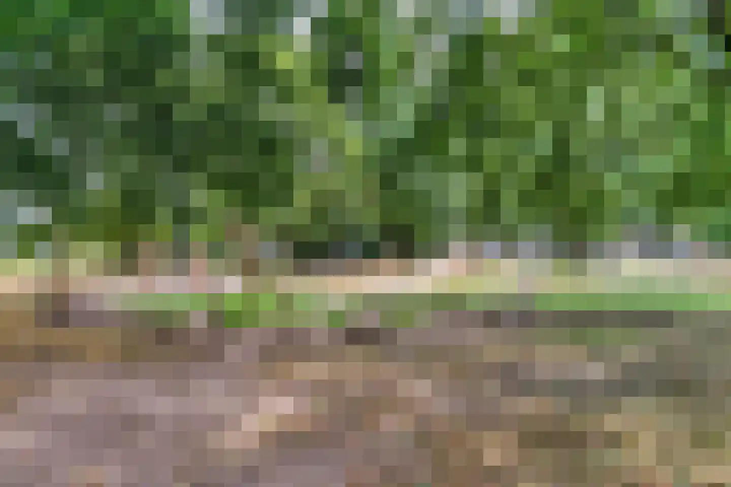 Vogezenlaan 199 Tilburg thumbnail 43