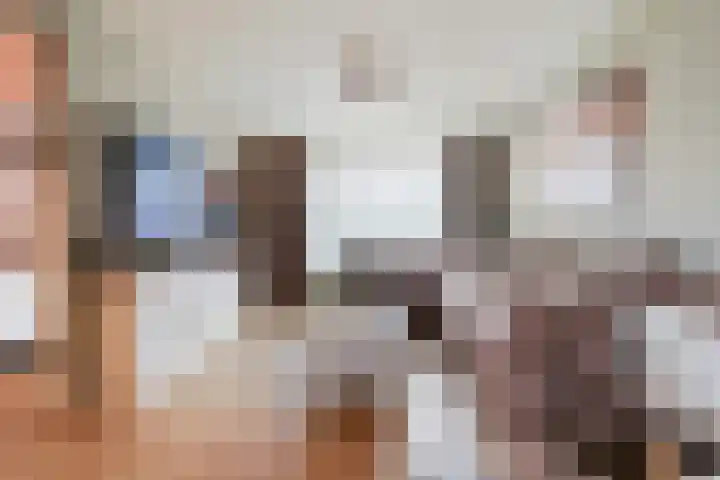 Vogezenlaan 53 Tilburg thumbnail 12