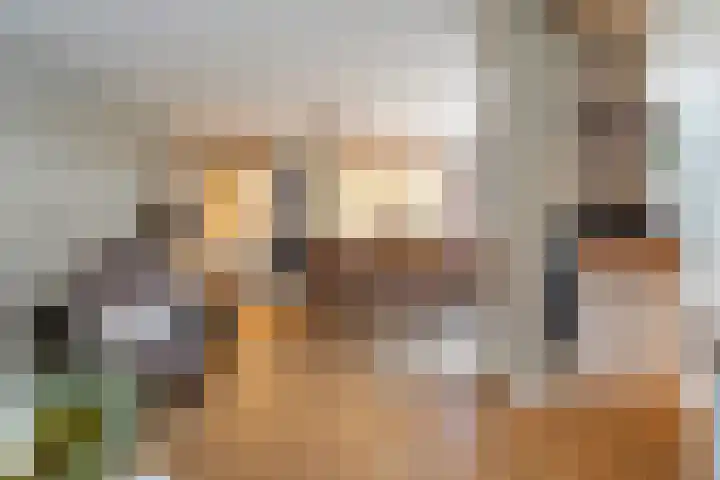 Vogezenlaan 53 Tilburg thumbnail 14