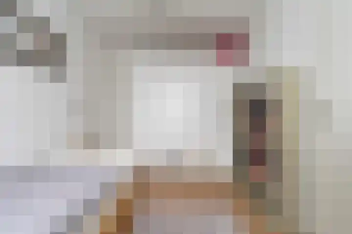 Vogezenlaan 53 Tilburg thumbnail 31