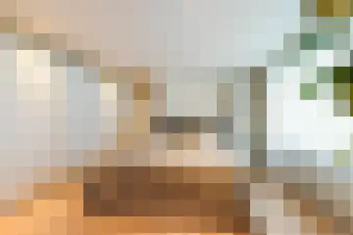 Vogezenlaan 53 Tilburg thumbnail 35