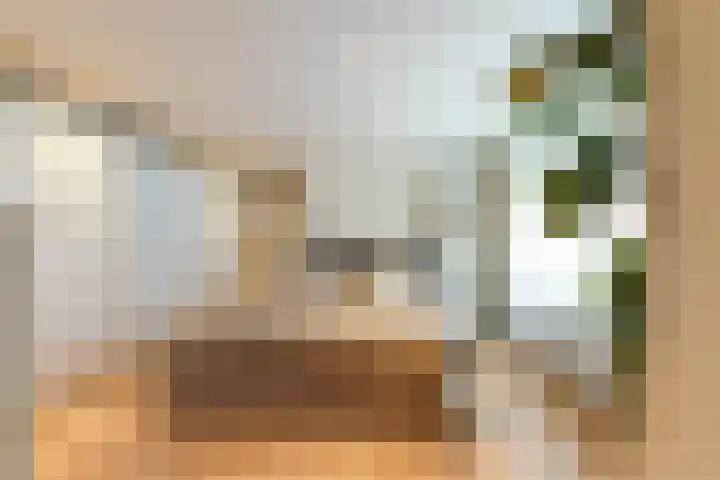 Vogezenlaan 53 Tilburg thumbnail 36