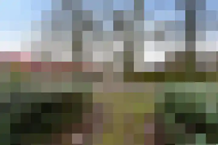 Vogezenlaan 53 Tilburg thumbnail 38