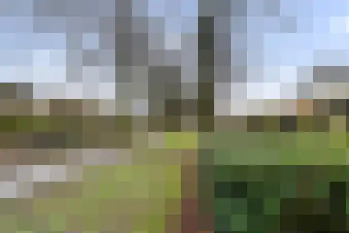 Vogezenlaan 53 Tilburg thumbnail 39