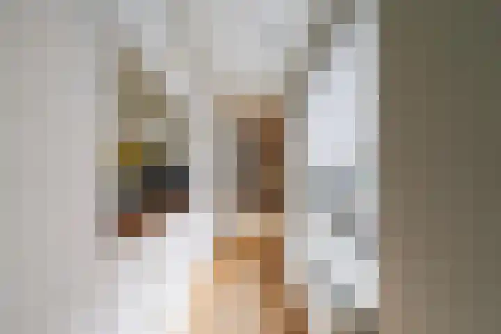 Vogezenlaan 53 Tilburg thumbnail 7