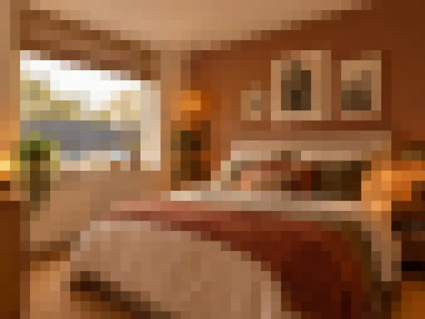 Vogezenlaan 6 Tilburg thumbnail 18