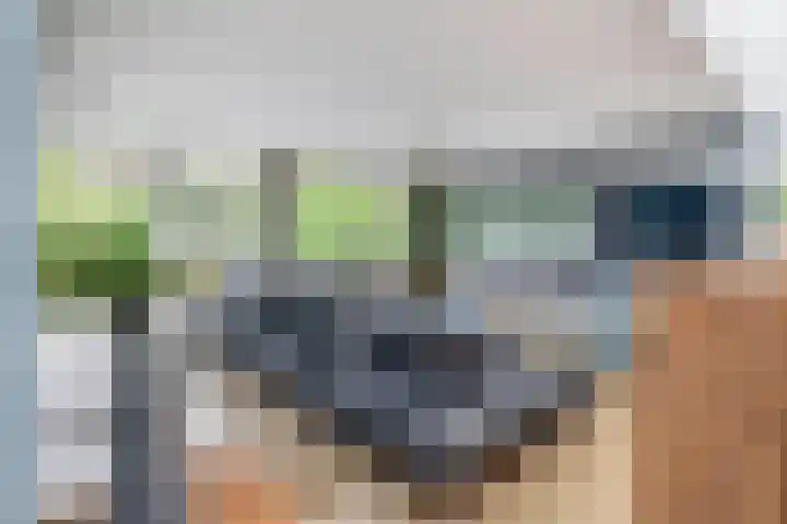 Voirt 33 Nuenen thumbnail 16