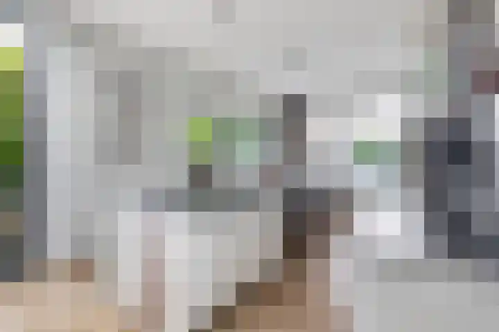 Voirt 33 Nuenen thumbnail 21