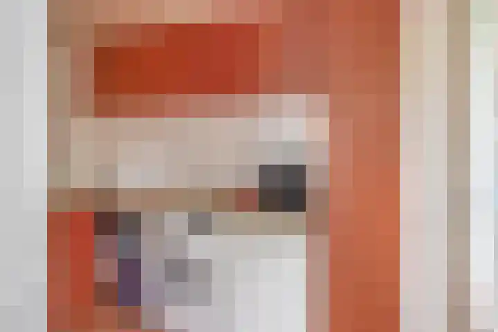 Voirt 33 Nuenen thumbnail 23