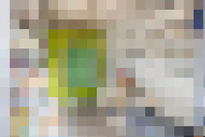 Voirt 33 Nuenen thumbnail 37