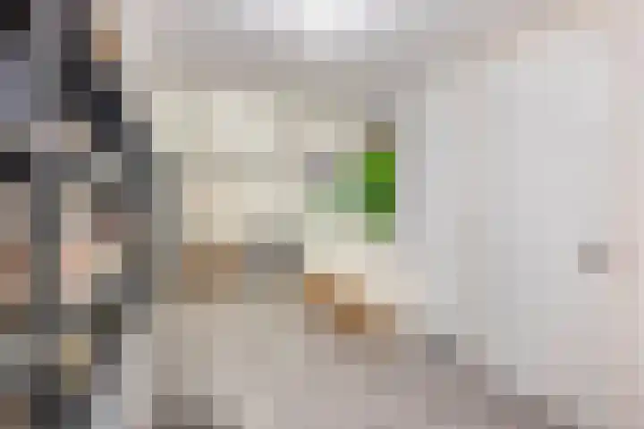 Voirt 33 Nuenen thumbnail 38