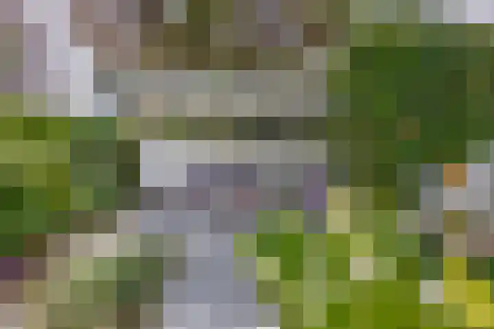 Voirt 33 Nuenen thumbnail 44