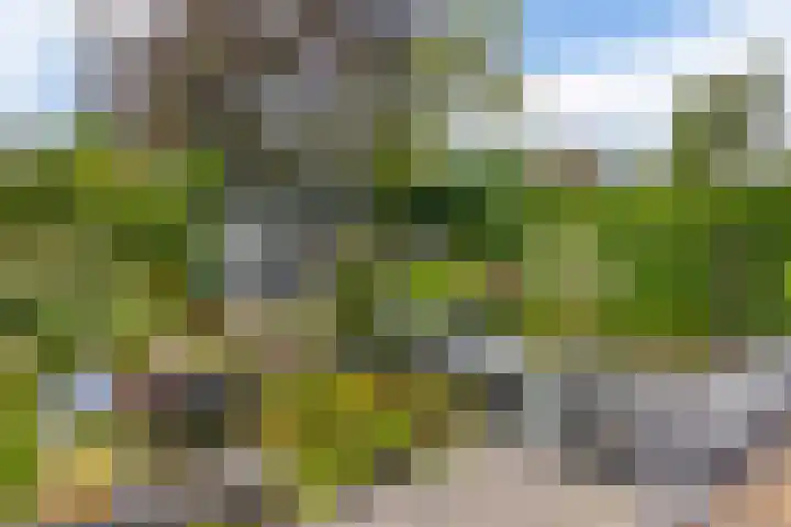 Voirt 33 Nuenen thumbnail 47