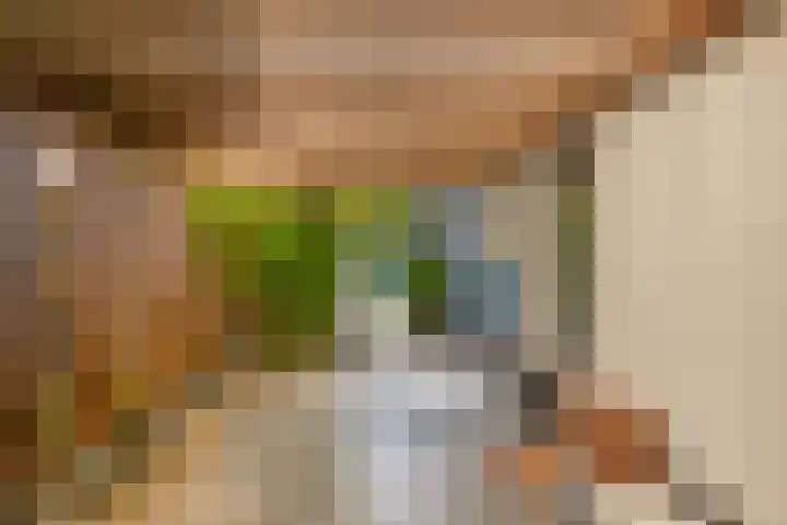 Voirt 33 Nuenen thumbnail 51