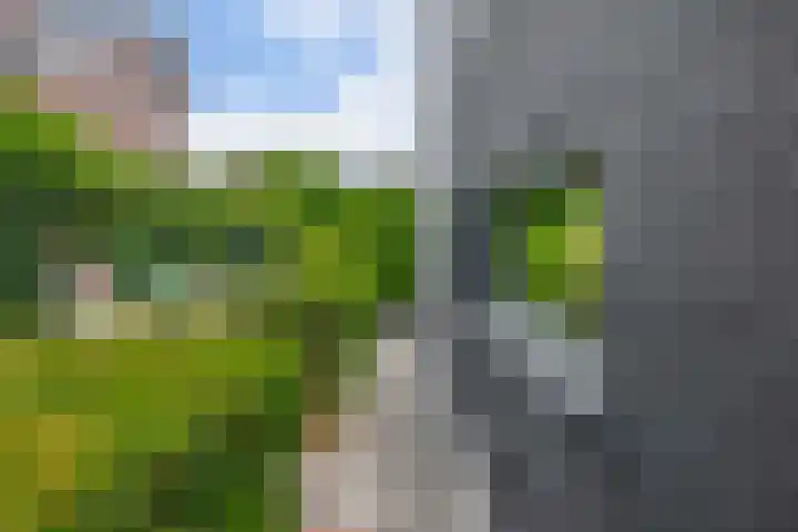Voirt 33 Nuenen thumbnail 52