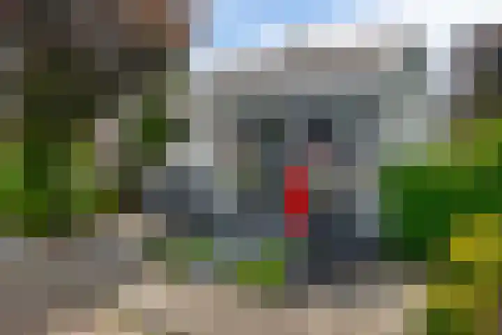Voirt 33 Nuenen thumbnail 7
