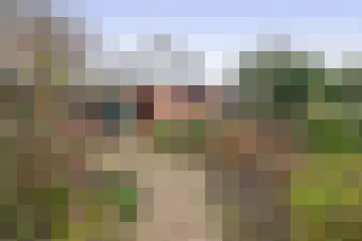 Voirt 34 Nuenen thumbnail 37