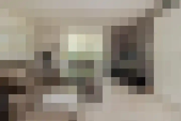 Vojerage 25 Voerendaal thumbnail 4