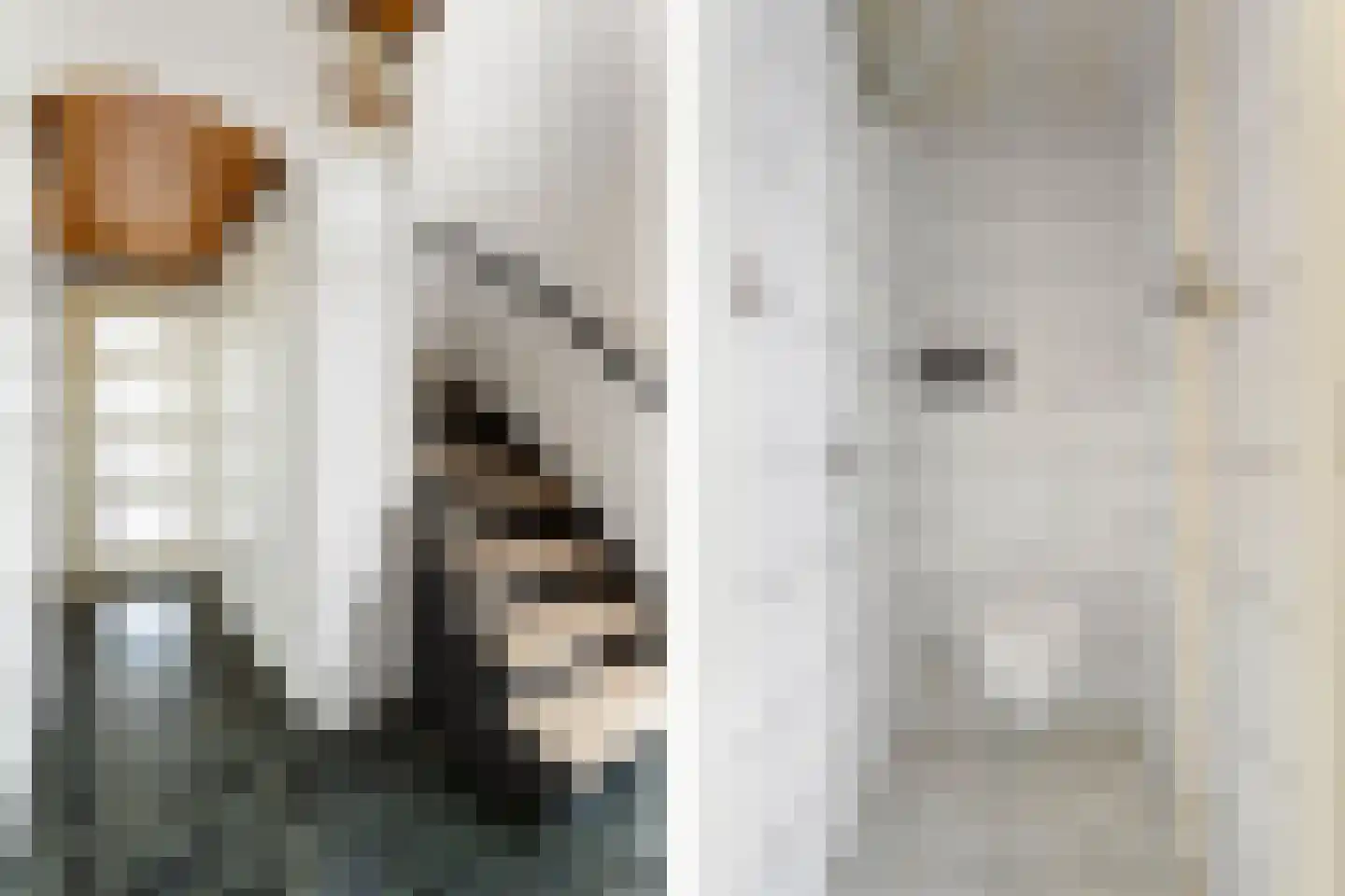 Volantruwe 4 Maastricht thumbnail 11