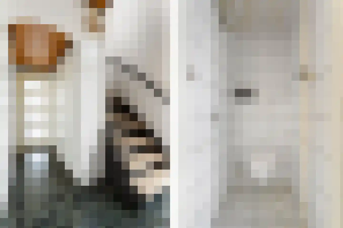 Volantruwe 4 Maastricht thumbnail 11
