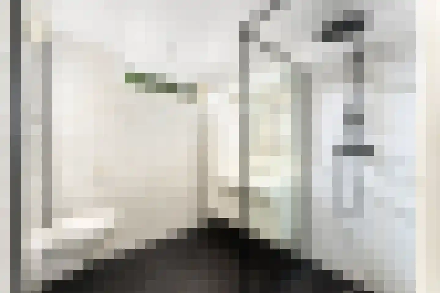 Volantruwe 4 Maastricht thumbnail 12