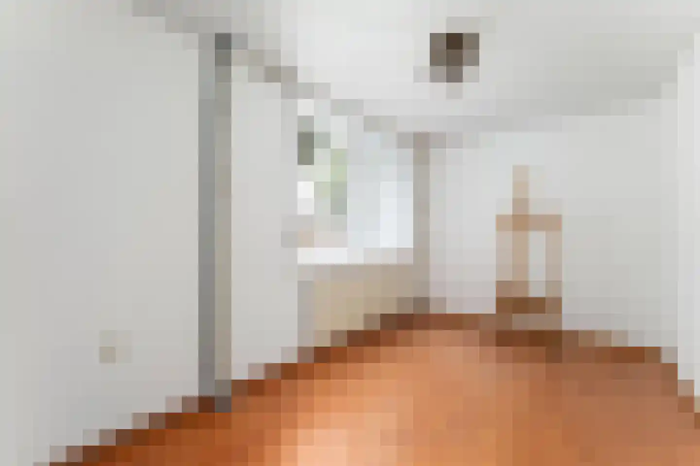 Volantruwe 4 Maastricht thumbnail 14