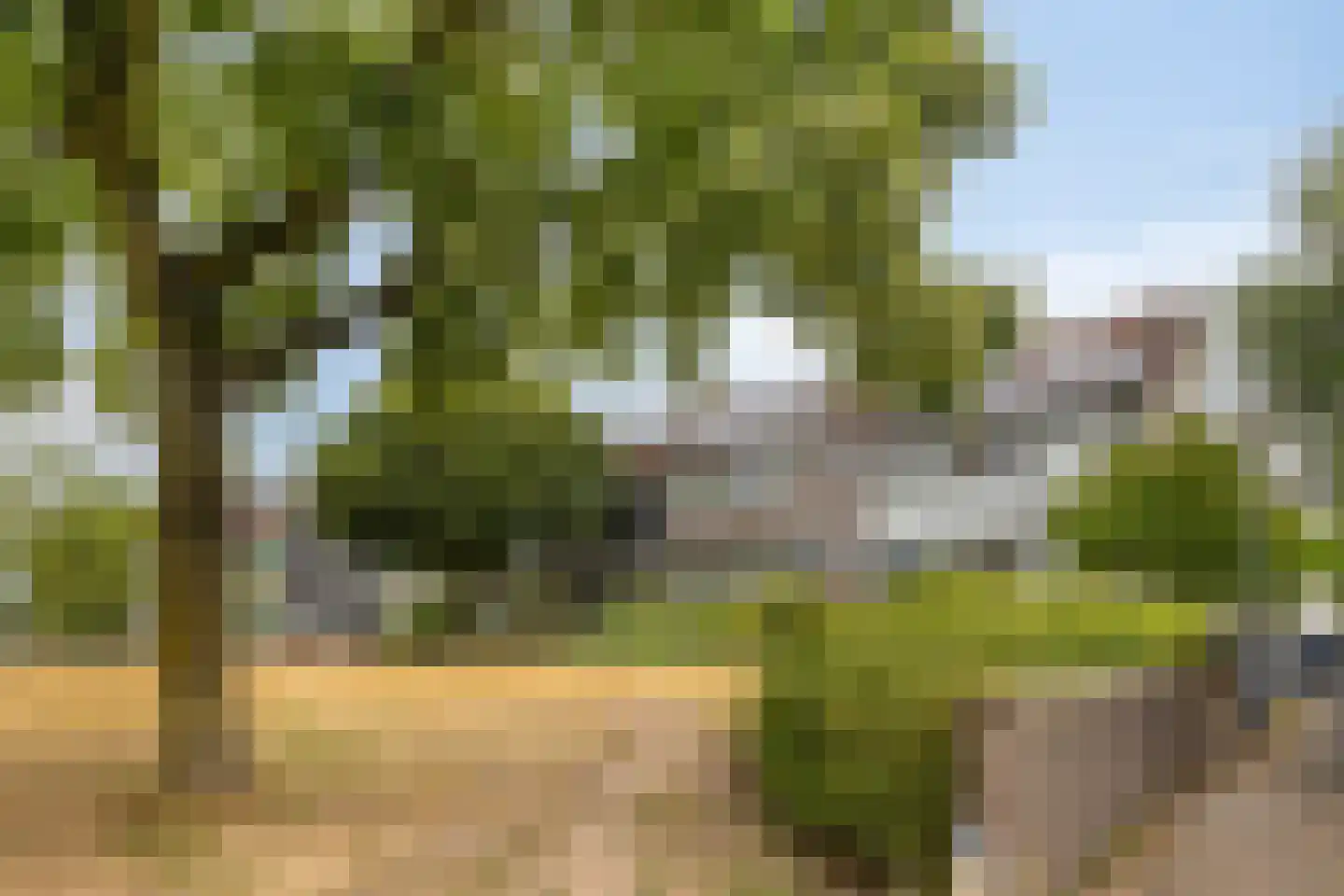Volbedastraat 25 Doetinchem thumbnail 40