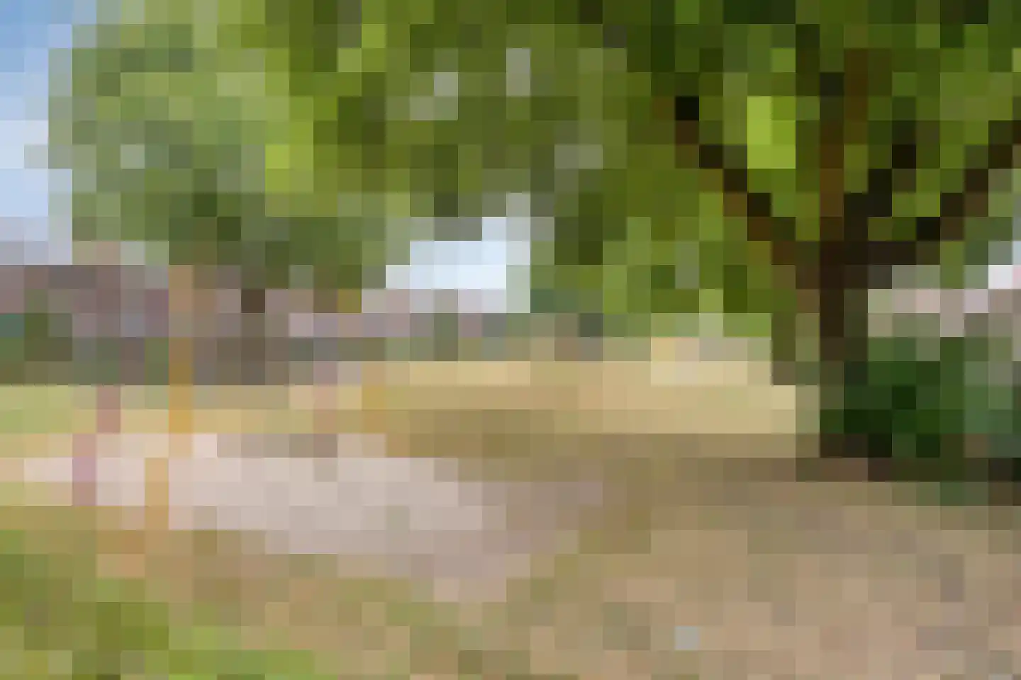 Volbedastraat 25 Doetinchem thumbnail 43