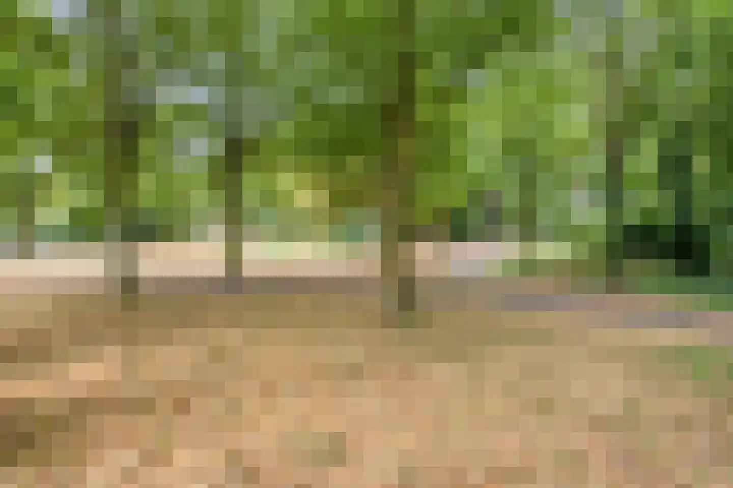 Volbedastraat 25 Doetinchem thumbnail 44