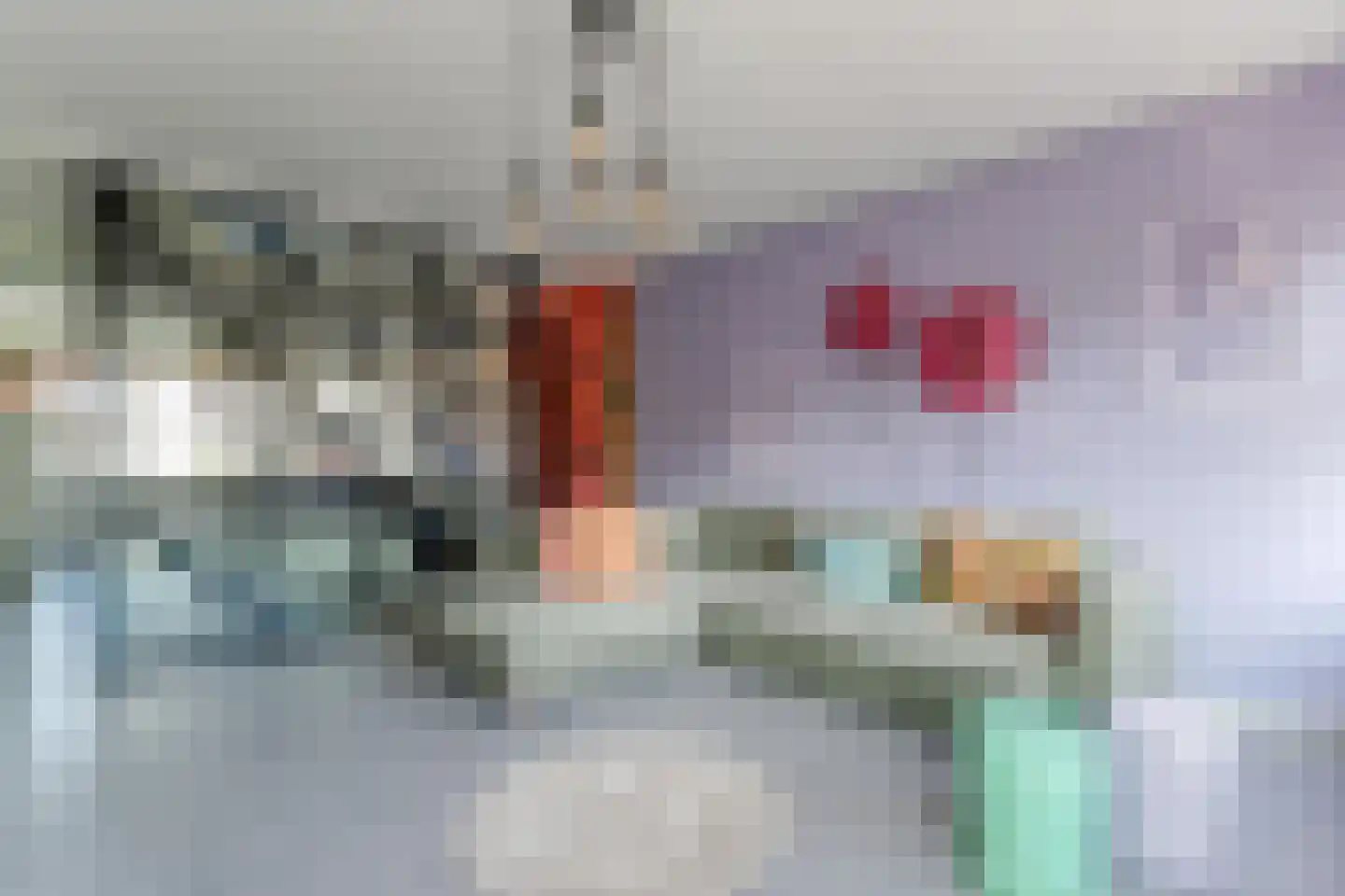 Volder 2 Hoorn foto 2
