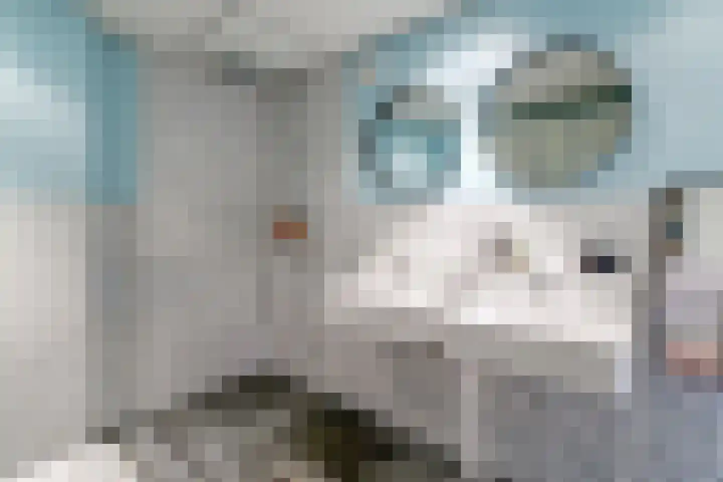 Volder 2 Hoorn thumbnail 38
