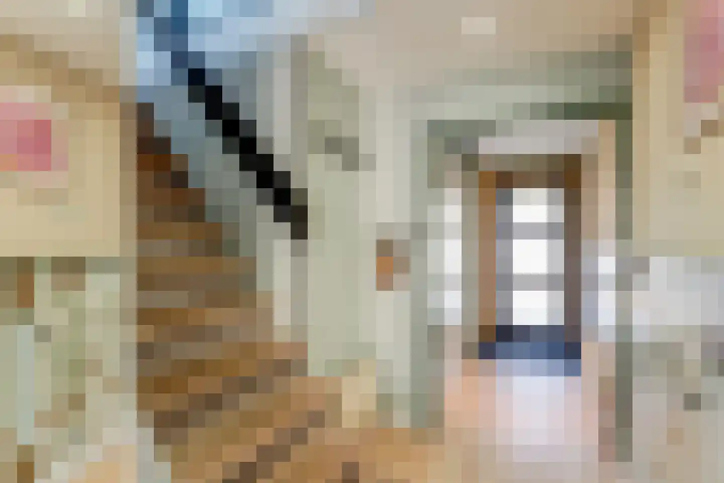 Volder 2 Hoorn thumbnail 4