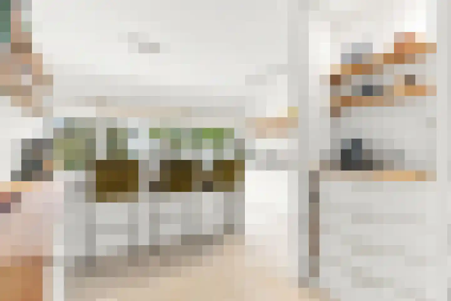 Volder 21 Hoorn thumbnail 27