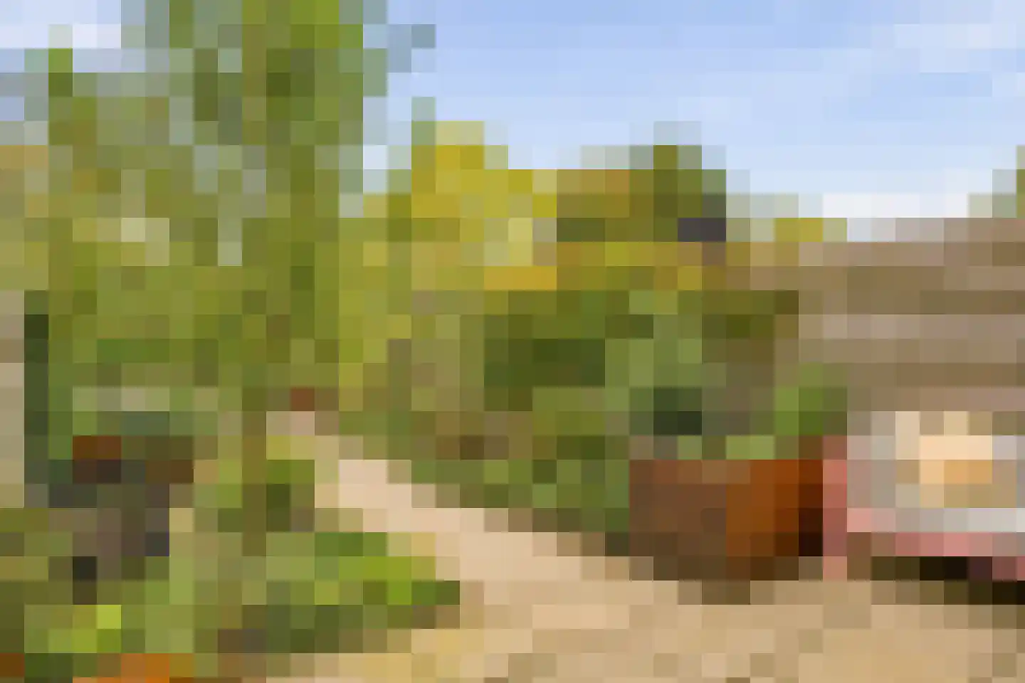 Volder 21 Hoorn thumbnail 41