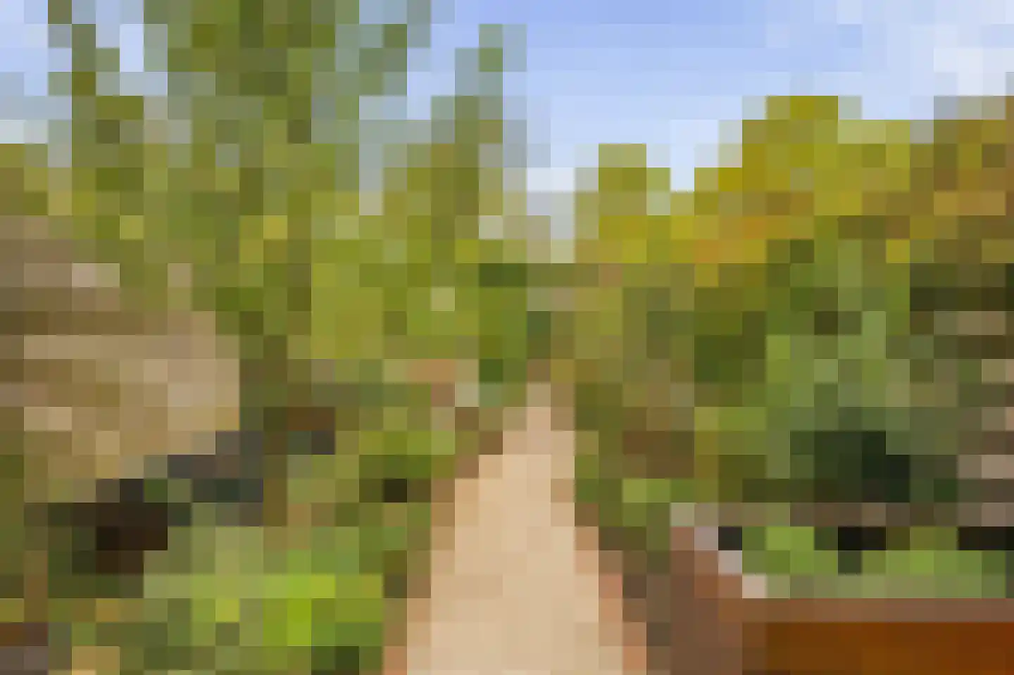 Volder 21 Hoorn thumbnail 42
