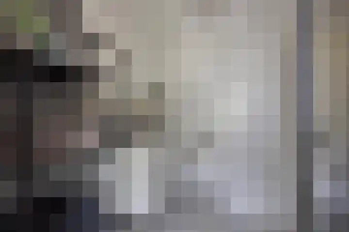 Volder 30 Hoorn thumbnail 15