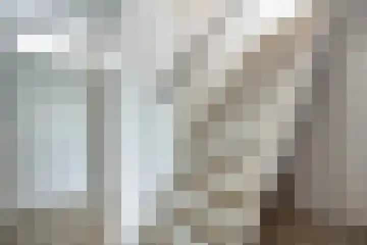 Volder 30 Hoorn thumbnail 17