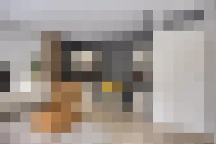 Volder 30 Hoorn thumbnail 18