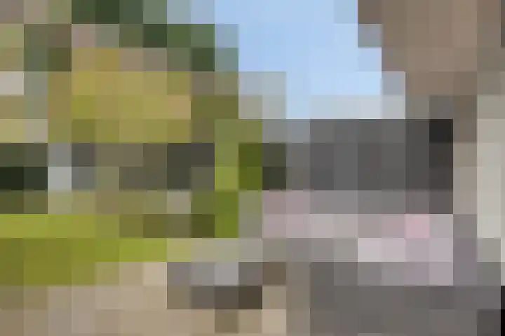 Volder 30 Hoorn thumbnail 22