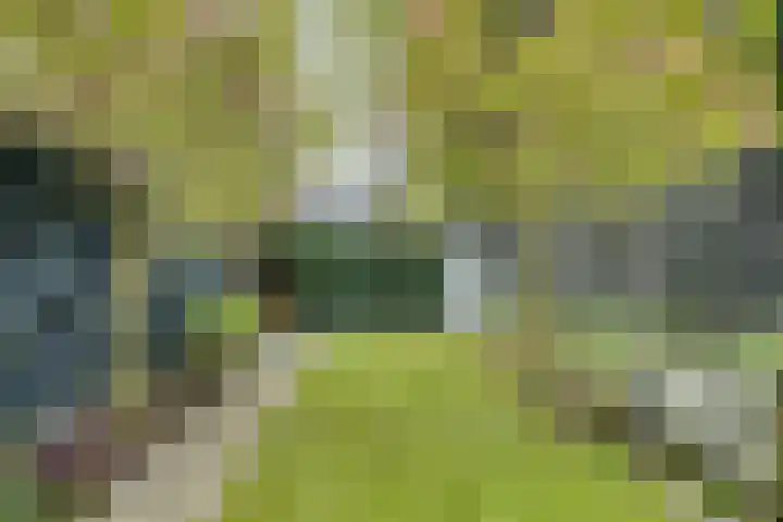 Volder 30 Hoorn thumbnail 23