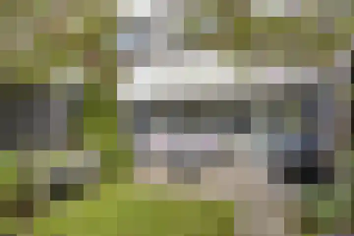 Volder 30 Hoorn thumbnail 24