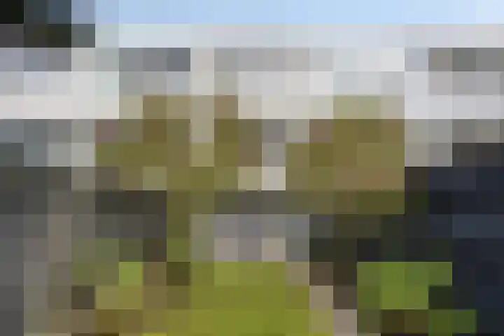 Volder 30 Hoorn thumbnail 25