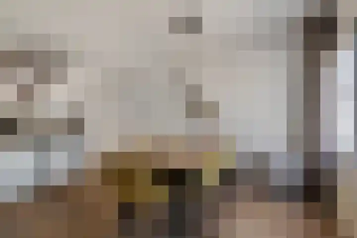 Volder 30 Hoorn thumbnail 6