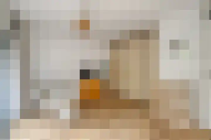 Volder 33 Hoorn thumbnail 5